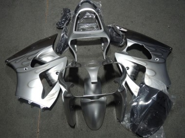 Argent Flamme Carénage Kawasaki ZX6R 2000-2002