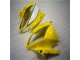 Jaune Blanc Noir Carénage Yamaha R6 2006-2007 Jaune Blanc Noir Carénage Yamaha R6 2006-2007