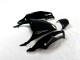 Noir Vert Carénage Kawasaki ZX14R ZZR 1400 2012-2021