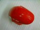 Rouge Argent Carénage Honda CBR 1000 RR 2008-2011 Rouge Argent Carénage Honda CBR 1000 RR 2008-2011