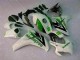 Vert Blanc Carrosserie Honda CBR 1000 RR 2008-2011