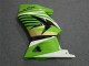 Vert Blanc Noir Ninja Carénage Kawasaki EX250 2008-2012 Vert Blanc Noir Ninja Carénage Kawasaki EX250 2008-2012