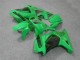 Vert Carénage Kawasaki EX250 2008-2012 Vert Carénage Kawasaki EX250 2008-2012