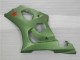 Vert Carénage Suzuki GSXR 1000 K3 2003-2004 Vert Carénage Suzuki GSXR 1000 K3 2003-2004