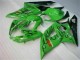 Vert Carénage Suzuki GSXR 1000 K5 2005-2006 Vert Carénage Suzuki GSXR 1000 K5 2005-2006
