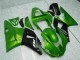 Vert Carénage Yamaha R1 2000-2001 Vert Carénage Yamaha R1 2000-2001