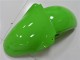 Vert Carénages Kawasaki ZX6R 2000-2002 Vert Carénages Kawasaki ZX6R 2000-2002