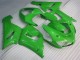 Vert Carénages Kawasaki ZX6R 2005-2006 Vert Carénages Kawasaki ZX6R 2005-2006