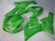 Vert Carénages Kawasaki ZX6R 2005-2006 Vert Carénages Kawasaki ZX6R 2005-2006