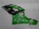 Vert Carénages Suzuki GSXR 1000 K5 2005-2006 Vert Carénages Suzuki GSXR 1000 K5 2005-2006