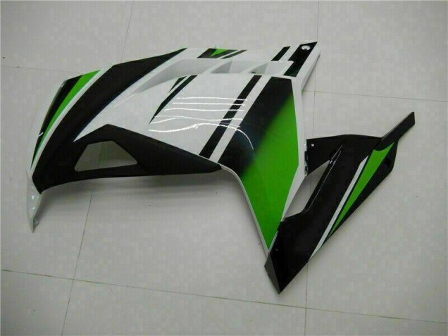 Vert Noir Argent Carénage Kawasaki EX300 2013-2016 Vert Noir Argent Carénage Kawasaki EX300 2013-2016