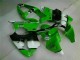 Vert Noir Carénages & Carrosserie Kawasaki ZX6R 2000-2002 Vert Noir Carénages & Carrosserie Kawasaki ZX6R 2000-2002