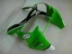 Vert Noir Carénages & Carrosserie Kawasaki ZX6R 2000-2002 Vert Noir Carénages & Carrosserie Kawasaki ZX6R 2000-2002