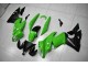 Vert Noir Carénages Kawasaki EX650 2009-2011 Vert Noir Carénages Kawasaki EX650 2009-2011