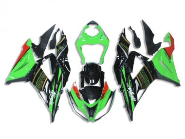 Vert Noir Carénages Kawasaki ZX6R 2013-2018
