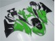 Vert Noir Carrosserie Kawasaki ZX6R 2009-2012 Vert Noir Carrosserie Kawasaki ZX6R 2009-2012