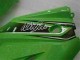 Vert Noir Kit Carénages Complet Kawasaki EX250 2008-2012 Vert Noir Kit Carénages Complet Kawasaki EX250 2008-2012